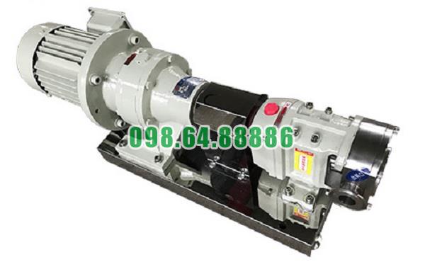 Máy bơm cánh khế 3RP-35 công suất 4kw lưu lượng 15 m3/h áp suất 0.6 MPa