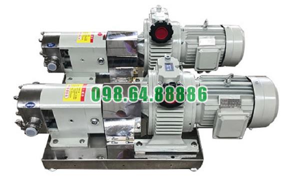 Máy bơm lobe 3RP-10 lưu lượng 6 m3/h áp suất 0.6 Mpa tốc độ quay 1000 vòng/phút