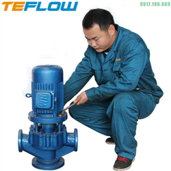 Bơm Hóa Chất Trục Đứng Lót Nhựa 50GDF-20